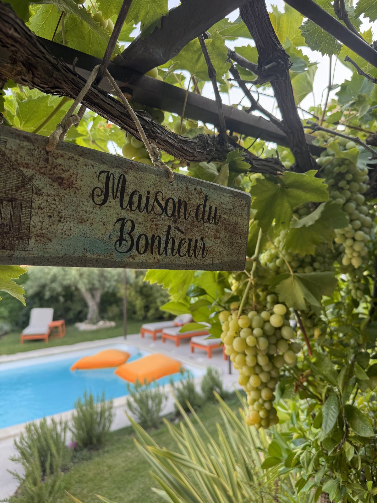 Piscine et jardin