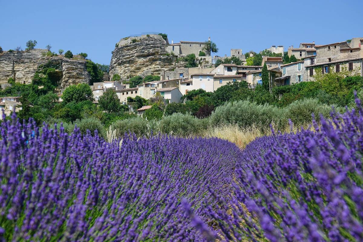 Village des Alpilles